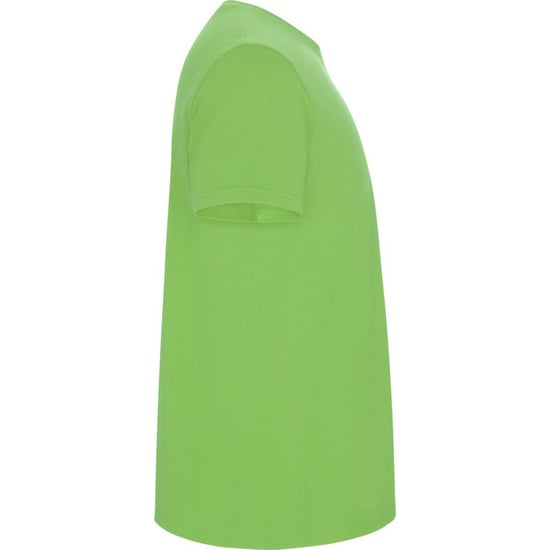 Roly - "Stafford" T-Shirt für Kinder (Oasen Grün) - Image 4