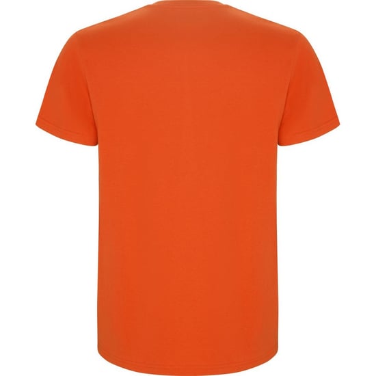 Roly - "Stafford" T-Shirt für Kinder (Orange) - Image 2