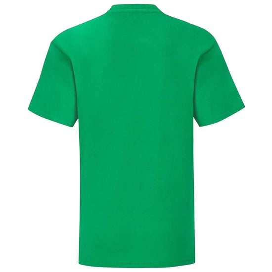 Fruit of the Loom - "Iconic" T-Shirt für Kinder (Irisches Grün) - Image 2