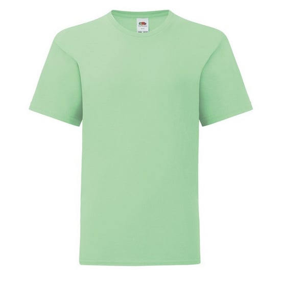 Fruit of the Loom - "Iconic 150" T-Shirt für Kinder (Minzgrün) - Image 1