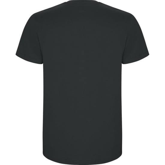 Roly - "Stafford" T-Shirt für Kinder (Dunkelgrau) - Image 2
