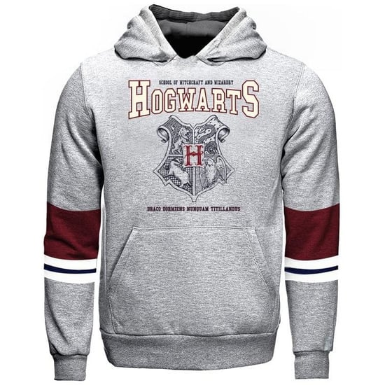 Harry Potter - Kapuzenpullover für Kinder (Grau) - Image 1
