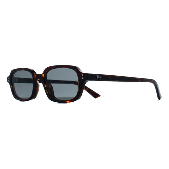 Ray-Ban RB4455 Zuri 135987 havanna dunkelgrau Sonnenbrille - Image 2