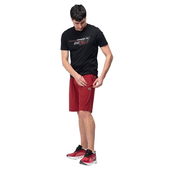 IQ - "Ikeln" Shorts für Herren (Sonnengetrocknete Tomaten) - Image 4