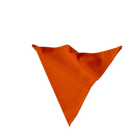Link Kitchen Wear - Bäcker Halstuch (Orange) - Image 2