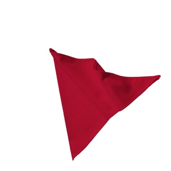 Link Kitchen Wear - Bäcker Halstuch (Rot) - Image 2