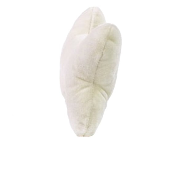 Mbw - Hunde Quietschspielzeug "MiniFeet", Knochen (Cremefarbe) - Image 3