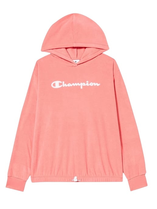 Champion Hoodie - Image 1