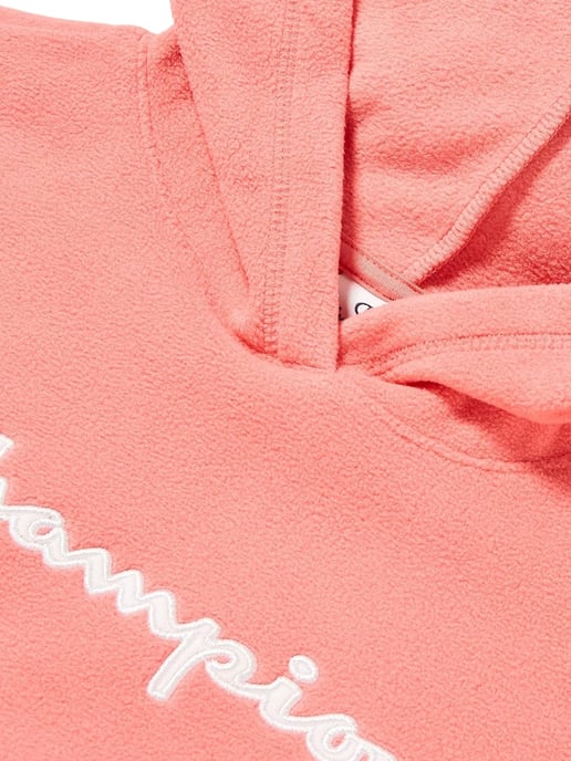 Champion Hoodie - Image 3