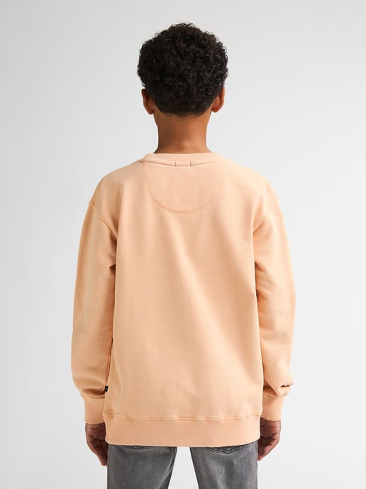 Petrol Industries - Bedruckter Rundhalspullover Ranchero Boys - Orange - Image 4