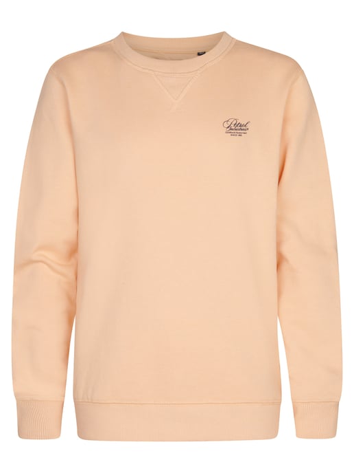 Petrol Industries - Bedruckter Crew-Sweater Ocotillo Jungen - Orange - Image 1