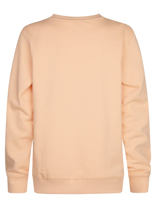Petrol Industries - Bedruckter Crew-Sweater Ocotillo Jungen - Orange - Image 2