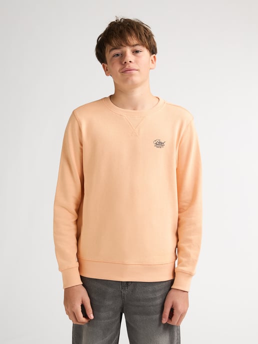 Petrol Industries - Bedruckter Crew-Sweater Ocotillo Jungen - Orange - Image 3