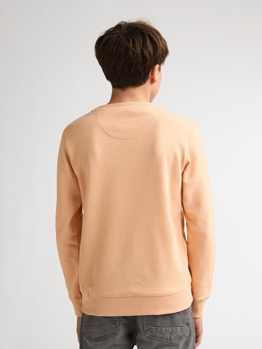 Petrol Industries - Bedruckter Crew-Sweater Ocotillo Jungen - Orange - Image 4