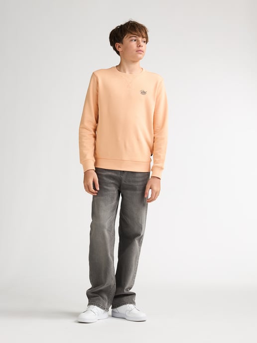 Petrol Industries - Bedruckter Crew-Sweater Ocotillo Jungen - Orange - Image 5