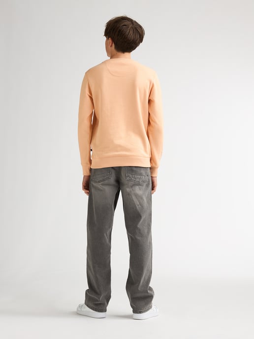 Petrol Industries - Bedruckter Crew-Sweater Ocotillo Jungen - Orange - Image 6