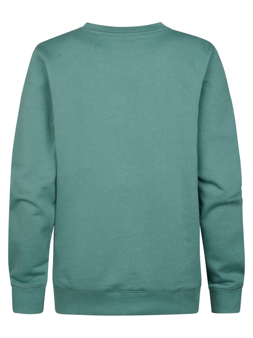 Petrol Industries - Bedruckter Rundhals-Pullover Ocotillo Jungen - Grün - Image 2