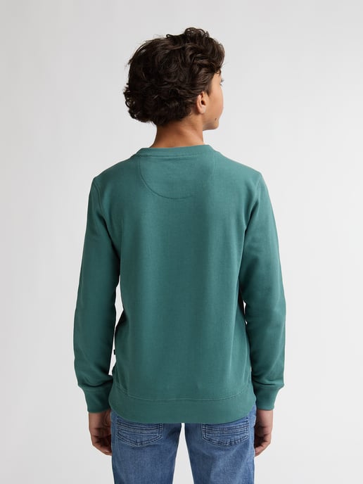 Petrol Industries - Bedruckter Rundhals-Pullover Ocotillo Jungen - Grün - Image 4
