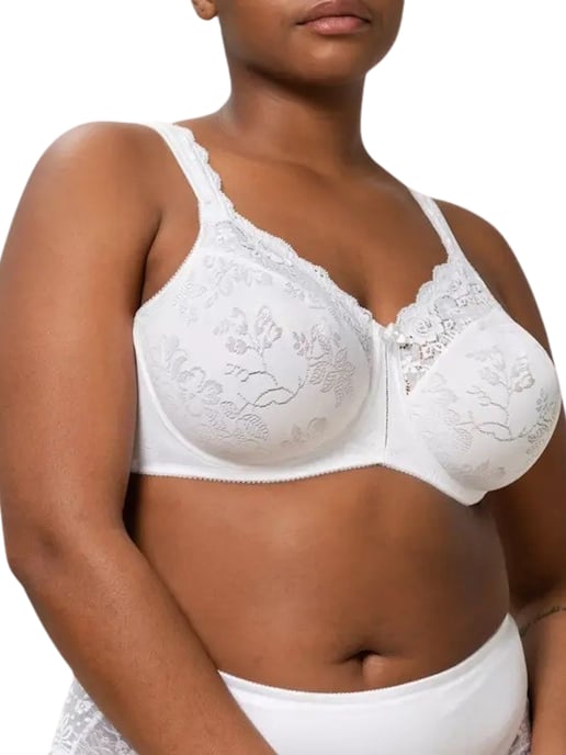 Triumph BH - Image 2