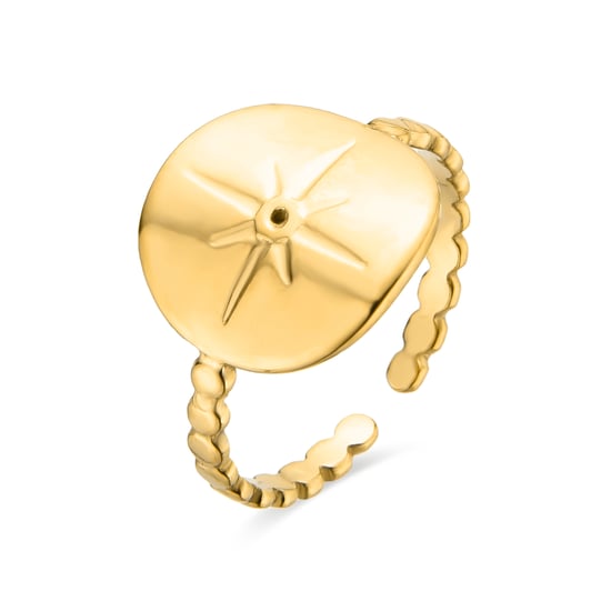 Luxenter Ring aus 18K Gelbgold mit Brillant Zirkonia - Leri - Image 1