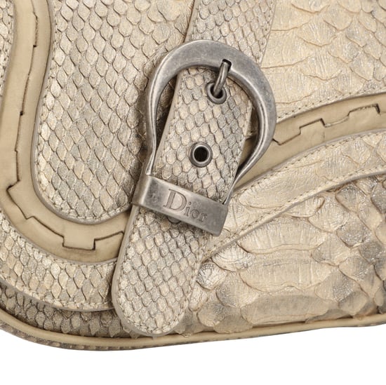 Dior Gaucho Python Handtasche - Image 5