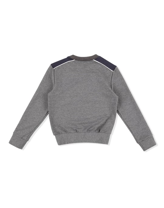 Sweatshirt Lion - Image 2