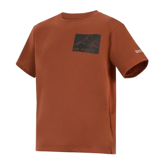 Regatta - "Alvarado" T-Shirt für Kinder (Ziegelstein) - Image 3