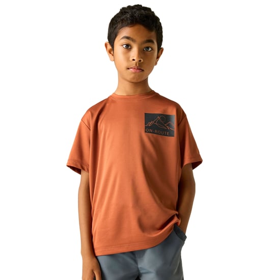 Regatta - "Alvarado" T-Shirt für Kinder (Ziegelstein) - Image 4