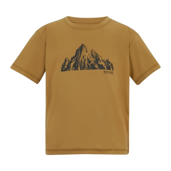 Regatta - "Alvarado" T-Shirt für Kinder (Holzbraun) - Image 1