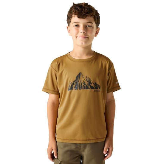 Regatta - "Alvarado" T-Shirt für Kinder (Holzbraun) - Image 4