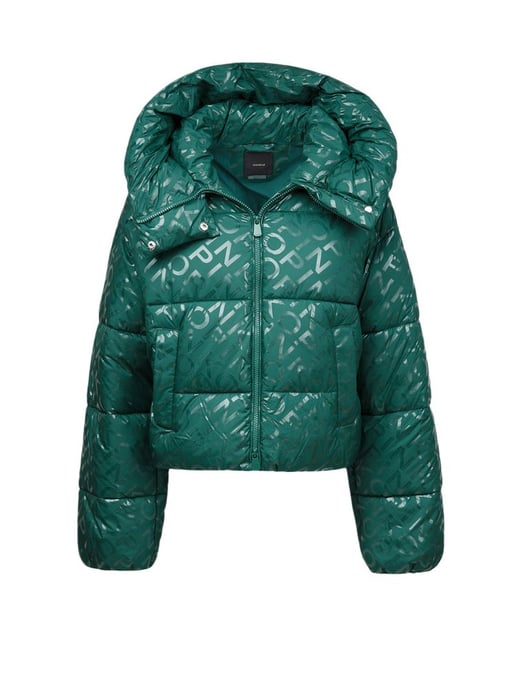 Pinko Winterjacke Grün - Image 1