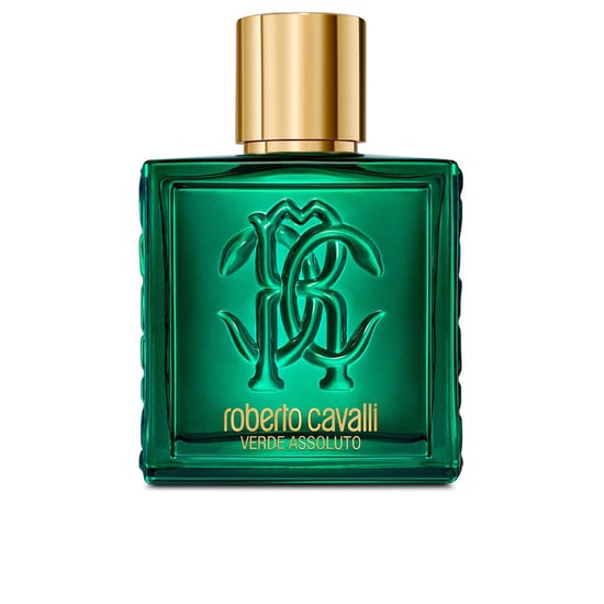 Uomo Verde Assoluto Edp Vapo 100 ml - Image 1