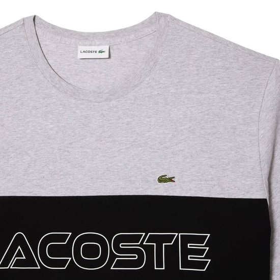 Lacoste - T-Shirt für Herren, Dicke Baumwolle, Anliegend (Grau) - Image 2