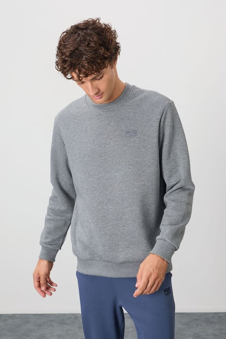 Herren Sweatshirt mit regulärer Passform und Rundhalsausschnitt - Image 1