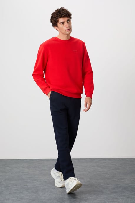 Herren Sweatshirt mit regulärem Schnitt und Rundhalsausschnitt - Image 2