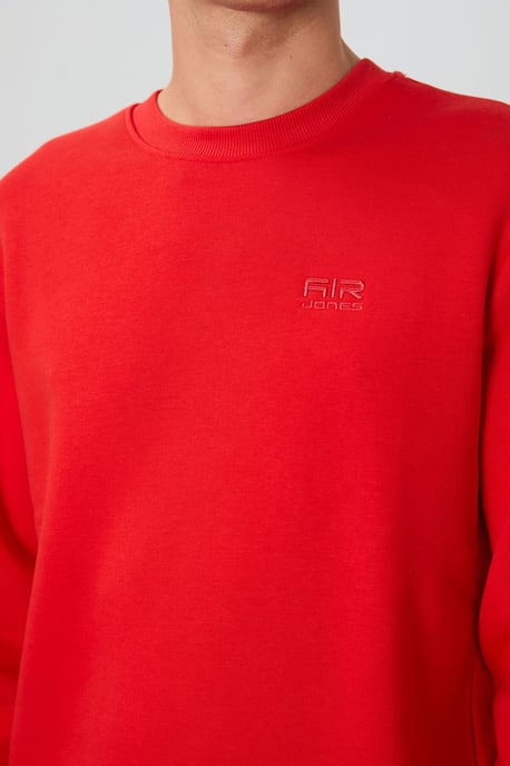 Herren Sweatshirt mit regulärem Schnitt und Rundhalsausschnitt - Image 3
