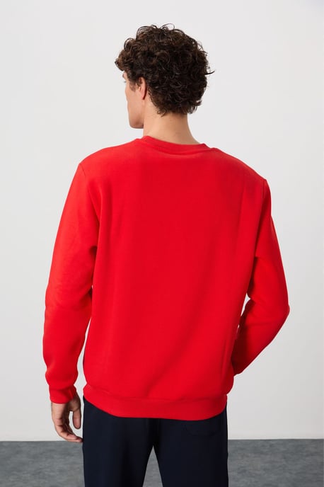 Herren Sweatshirt mit regulärem Schnitt und Rundhalsausschnitt - Image 5