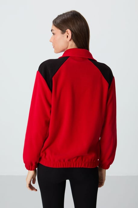 Übergroßer Farbblock-Half-Zip-Sweatshirt - Image 6