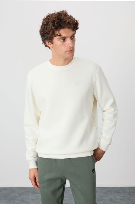 Herren Sweatshirt mit Rundhalsausschnitt in Regular Fit - Image 3