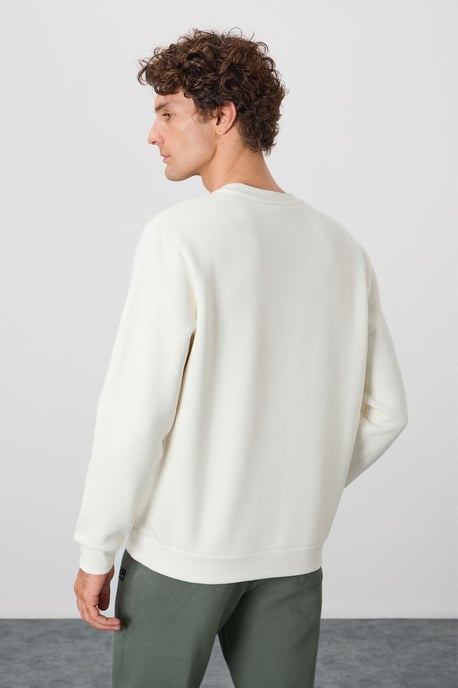 Herren Sweatshirt mit Rundhalsausschnitt in Regular Fit - Image 5