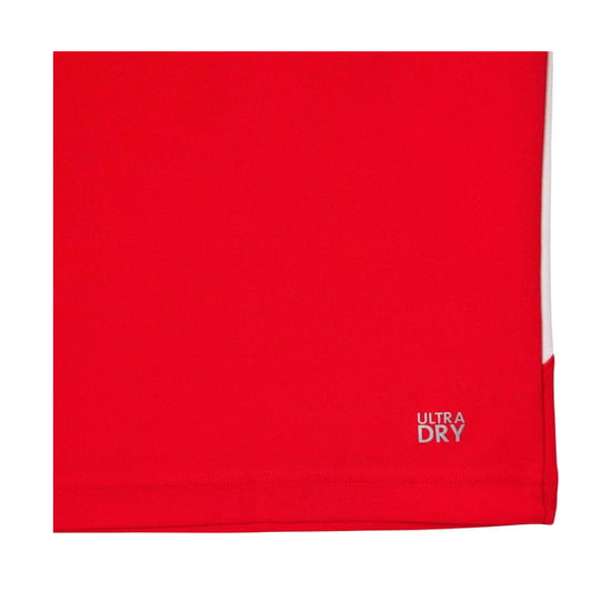 Lacoste - "Tennis x Novak Djokovic" Poloshirt für Herren, Regulär (Rot) - Image 3