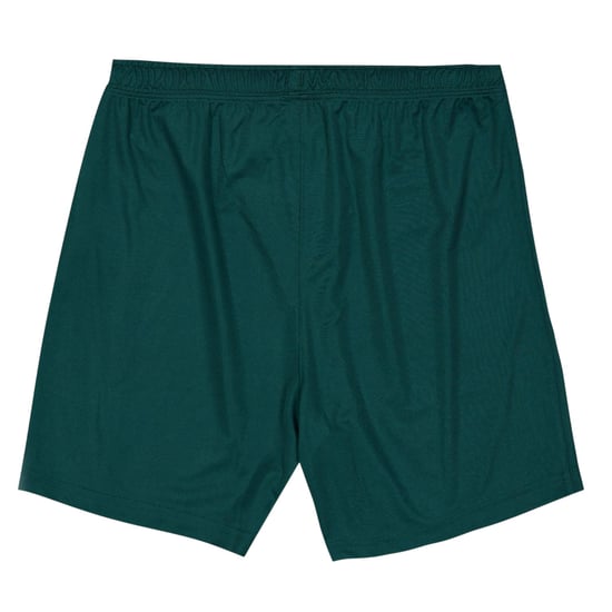 Castore - Shorts für Kinder , Training (Grün) - Image 2