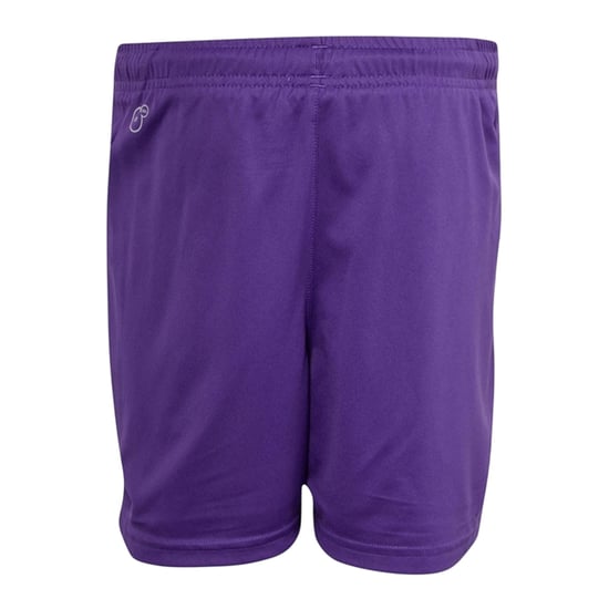 Puma - "Team" Shorts für Jungen (Violett) - Image 2