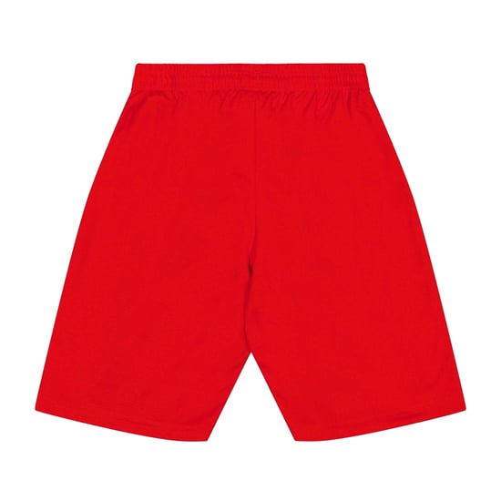 Puma - "Team" Shorts für Kinder (Rot) - Image 2