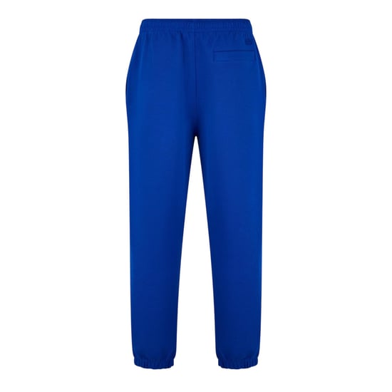 Lacoste - Trainingshose für Herren/Damen Unisex (Blau) - Image 2