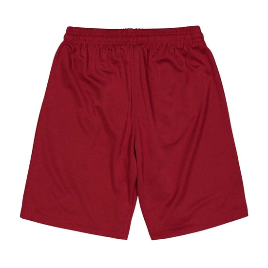 Puma - Shorts für Kinder , Fußball (Burgunderrot) - Image 2