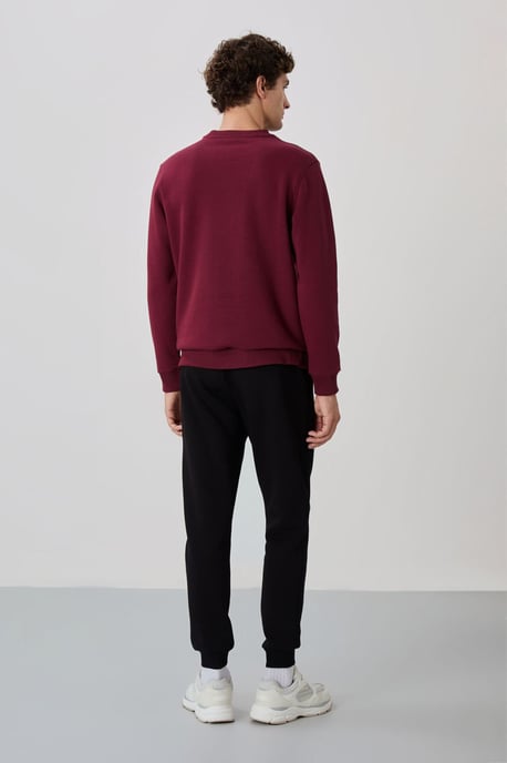 Herren Sweatshirt- und Hose-Set aus Baumwolle-Polyester-Fleece - Image 6