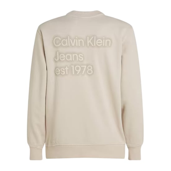Calvin Klein - Sweatshirt für Herren, Verziert, Baumwollmischung (Mondstrahl) - Image 2