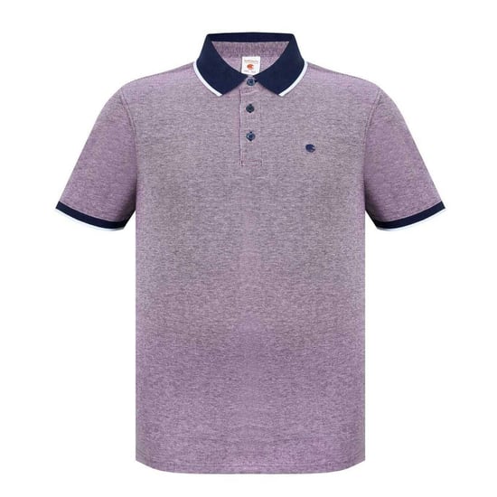 SoulCal - Poloshirt für Herren, Baumwolle Piqué (Burgunderrot/Weiß) - Image 1