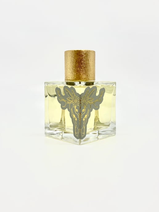North to Poltava 100ml EDP - Image 1